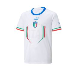 Снимка на PUMA x Italy FIGC Away Training Tee White