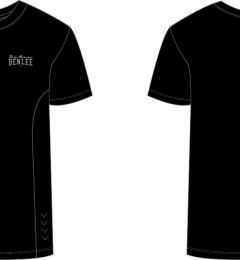 Снимка на Benlee Men's functional t-shirt regular fit