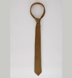 Снимка на DEFACTO Men's Tie