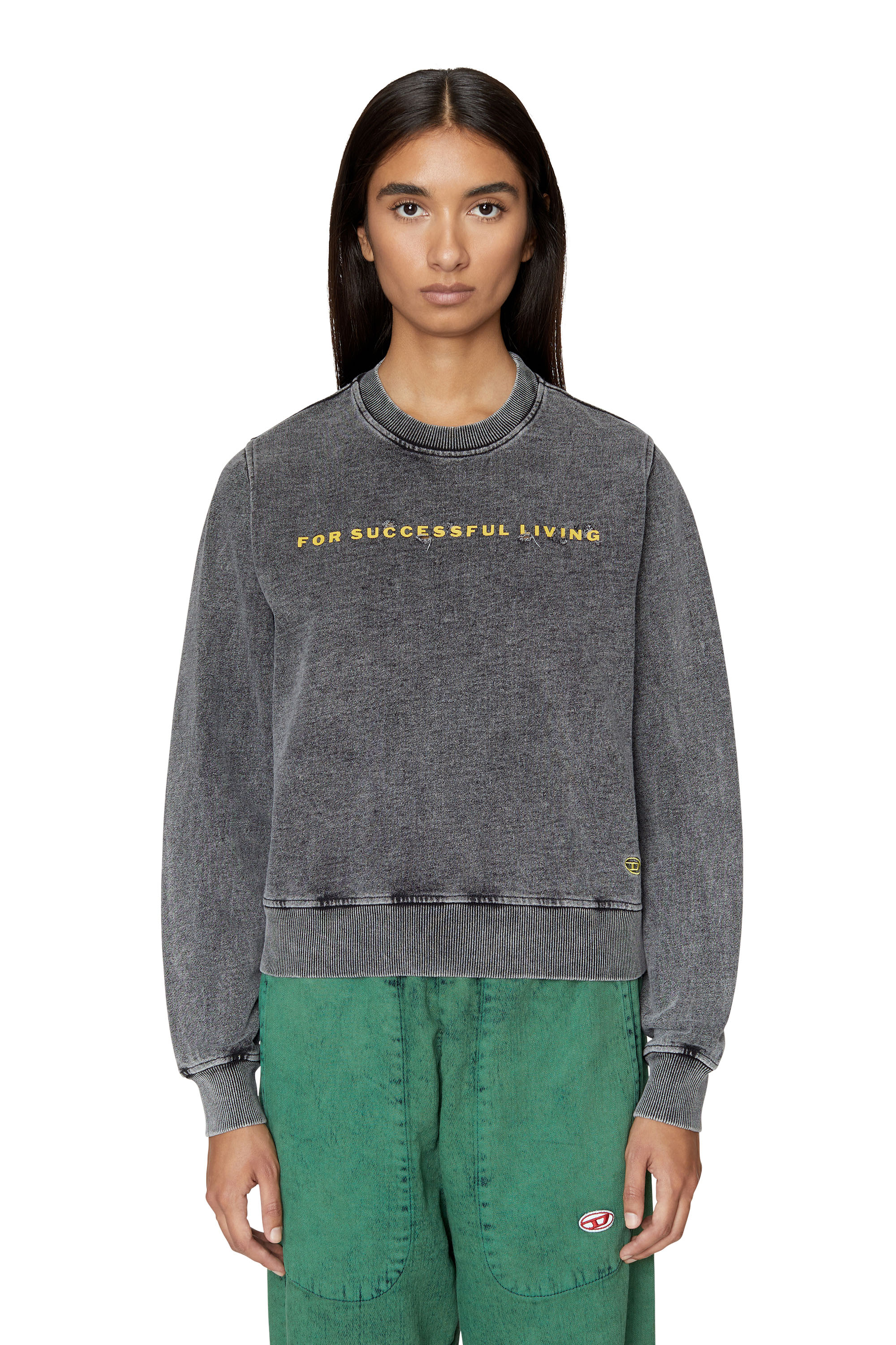 Снимка на Diesel Sweatshirt - F-REGGY-E1 SWEAT-SHIRT black