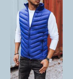 Снимка на Men's quilted vest dark blue Dstreet z