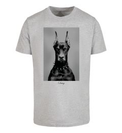 Снимка на Men's T-shirt Dawg grey