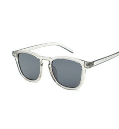 Снимка на Sunglasses WAYE - 6 Transparent Light Grey w Polarized Smoke lens Cat. 3