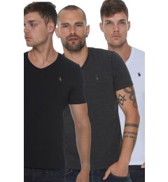 Снимка на TRIPLE SET T8568 DEWBERRY V-NECK MEN'S T-SHIRT-BLACK-WHITE-ANTHRACITE