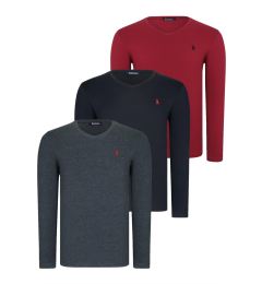 Снимка на TRIPLE SET T8587 DEWBERRY V-NECK MEN'S SWEATSHIRT-BLACK-ANTHRACITE-BURGUNDY