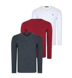 Снимка на TRIPLE SET T8587 DEWBERRY V-NECK MEN'S SWEATSHIRT-WHITE-ANTHRACITE-BURGUNDY