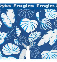 Снимка на Мъжки боксерки Frogies Tropical
