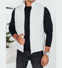 Снимка на Мъжки ватиран елек от бял цвят Dstreet