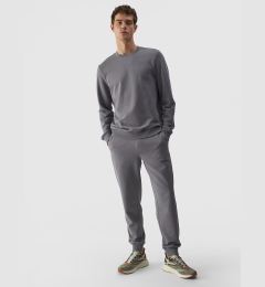 Снимка на Мъжки спортен панталон Jogger 4FWMM00TTR