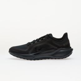Снимка на Сникърси Nike W Pegasus 41 Gore-Tex Black/ Black-Anthracite EUR 40.5