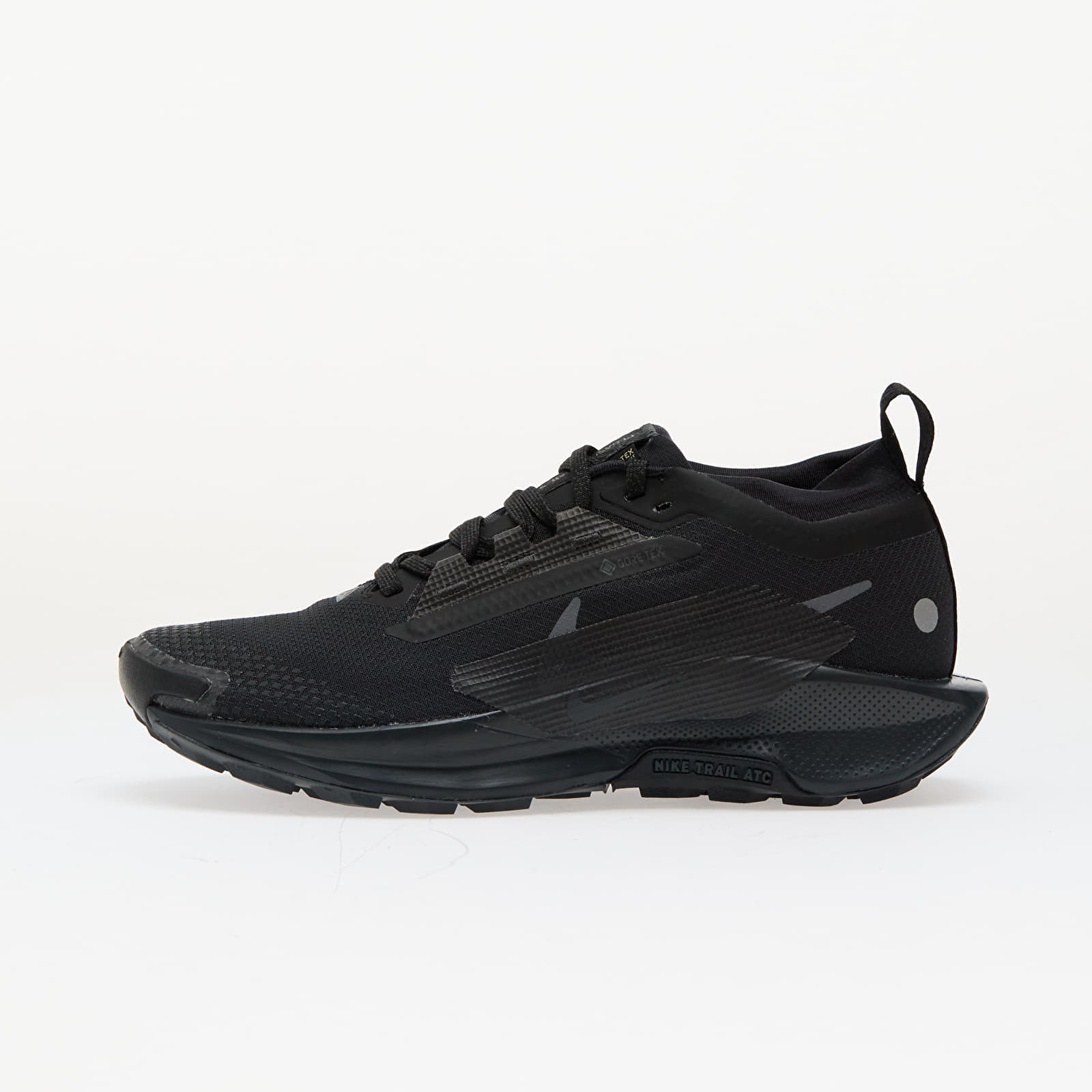 Снимка на Сникърси Nike W Pegasus Trail 5 Gore-Tex Black/ Black-Anthracite EUR 38.5