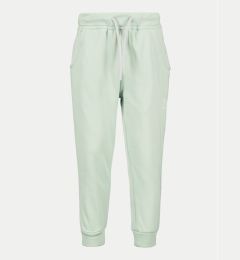 Снимка на Didriksons Долнище анцуг Corin 505004 Зелен Regular Fit
