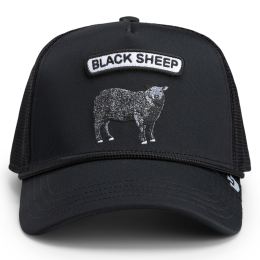 Шапка Козирка Goorin