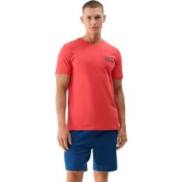 Снимка на 4F BEACH TSHIRT Мъжка тениска, червено, размер