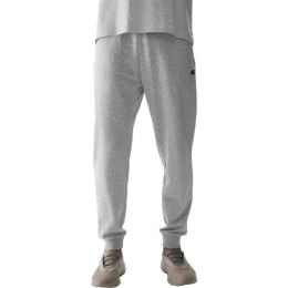 Снимка на 4F TROUSERS BASIC Мъжки спортни панталони, сиво, размер