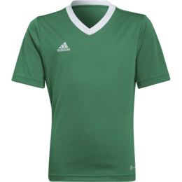 Снимка на adidas ENT22 JSY Y Юношеска футболна фланелка, зелено, размер