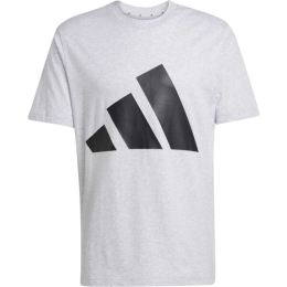 Снимка на adidas M BL SJ TEE Мъжка тениска, сиво, размер XXL