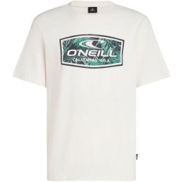 Снимка на O'Neill GRAPHIC Мъжка тениска, бяло, размер