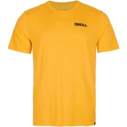 Снимка на O'Neill SPLASH T-SHIRT Мъжка тениска, жълто, размер