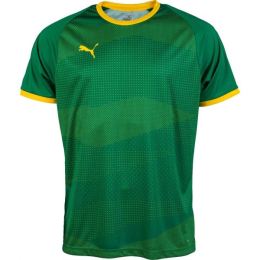 Снимка на Puma KC LIGA JERSEY GRAPHIC Мъжка футболна фланелка, зелено, размер