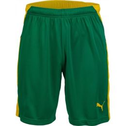 Снимка на Puma KC LIGA SHORTS Мъжки къси панталони за футбол, зелено, размер