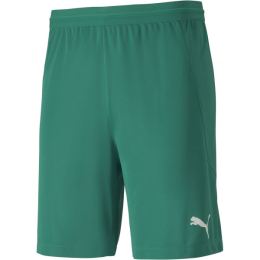 Снимка на Puma Puma TEAM FINAL 21 SOCKS TEAM Мъжки шорти, зелено, размер