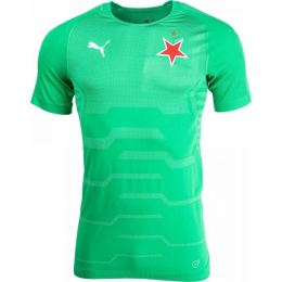 Снимка на Puma SLAVIA FINAL EVOKNIT GK Мъжка блуза за вратари, зелено, размер