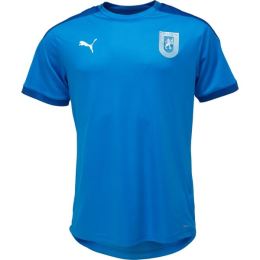 Снимка на Puma TEAM FINAL 21 TRAINING JERSEY Мъжка тениска за трениране, синьо, размер