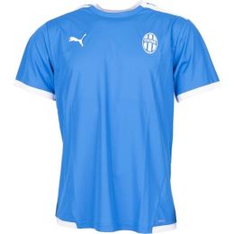 Снимка на Puma TEAM LIGA JERSEY Мъжка футболна тениска, синьо, размер