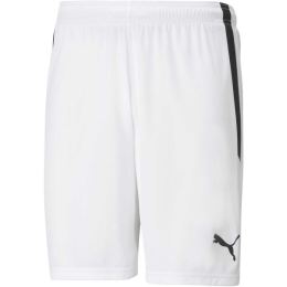 Снимка на Puma TEAM LIGA SHORTS Мъжки къси шорти, бяло, размер