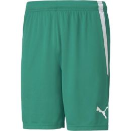 Снимка на Puma TEAM LIGA SHORTS Мъжки къси шорти, зелено, размер
