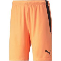Снимка на Puma TEAM LIGA SHORTS Мъжки къси шорти, оранжево, размер