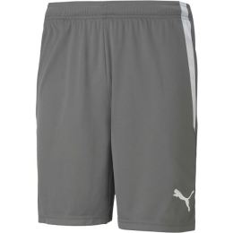 Снимка на Puma TEAM LIGA SHORTS Мъжки къси шорти, сиво, размер