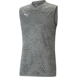 Снимка на Puma TEAMCUP TRAINING JERSEY SL Мъжки футболни шорти, сиво, размер