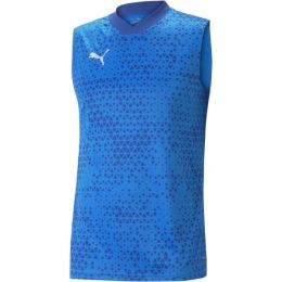 Снимка на Puma TEAMCUP TRAINING JERSEY SL Мъжки футболни шорти, синьо, размер