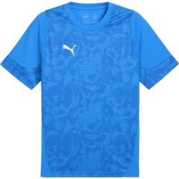 Снимка на Puma TEAMCUP TRAINING JERSEY Мъжка фланелка, синьо, размер XXXL