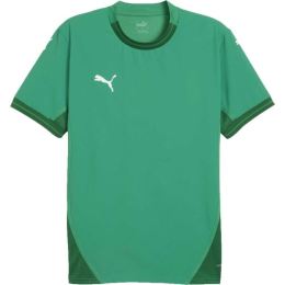 Снимка на Puma TEAMFINAL JERSEY Мъжка футболна фланелка, зелено, размер
