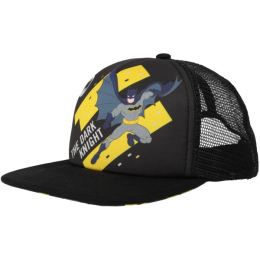 Снимка на Warner Bros BATMAN DARK HAT Шапка с козирка, черно, размер