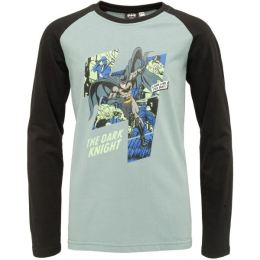Снимка на Warner Bros BATMAN STRIKES AGAIN Момчешка тениска, светло-зелено, размер